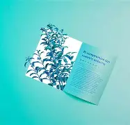 中欧体育平台-阿尔艾因防线稳固，力拼蒙特雷全力拿分的简单介绍