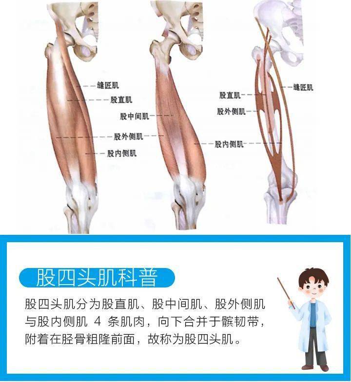 中欧体育app-刘诚宇9日晚训练仍单练，是大腿后侧肌肉群受伤