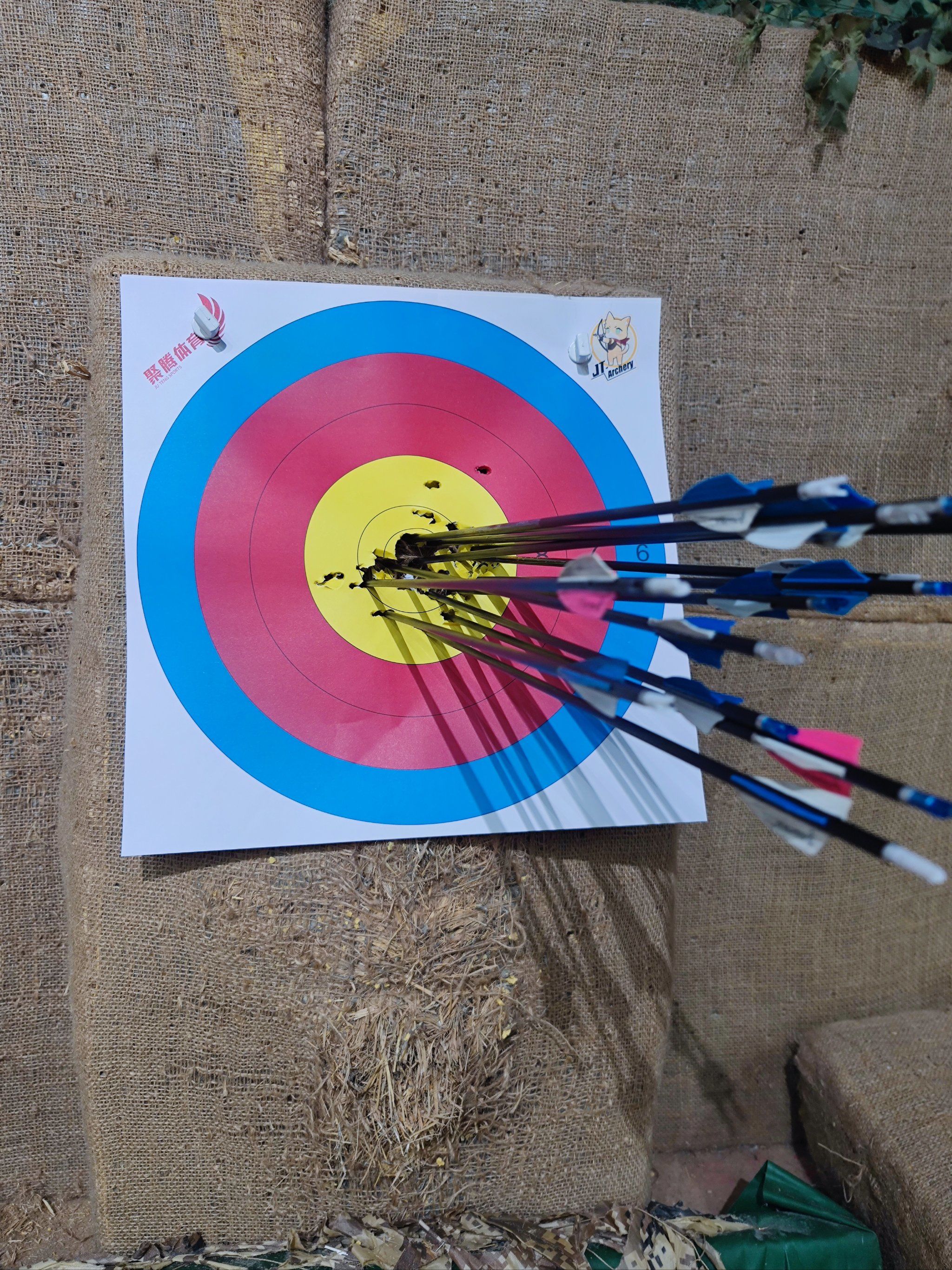 新西兰射箭选手勇夺头筹，英姿飒爽